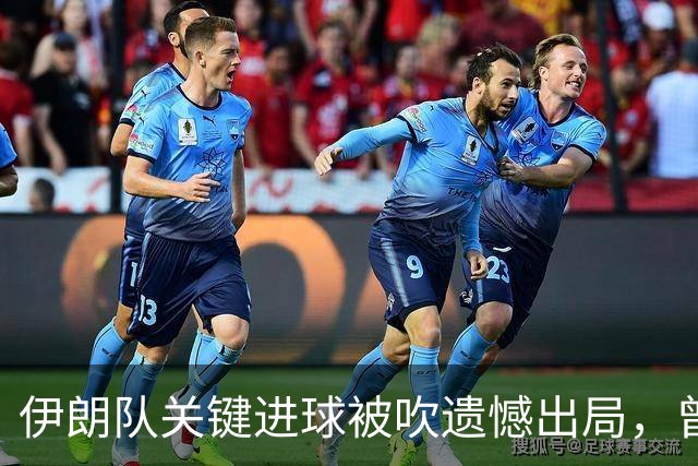 伊朗队关键进球被吹遗憾出局，曾任教哈佛大学的伊朗学者向FIFA索赔10亿美元